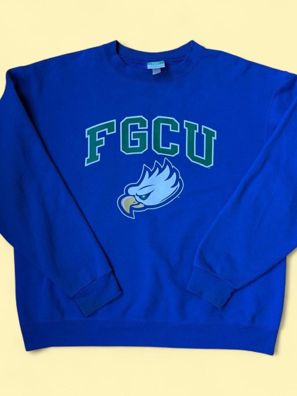 Vintage Champion Collegiate Royal Blue Crewneck Sweatshirt FGCU